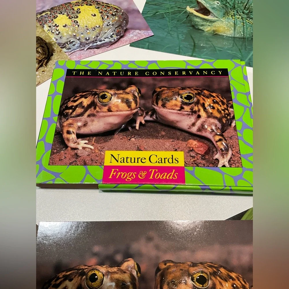 🌼Set of Frogs & Toads Nature Cards, Size 7x5